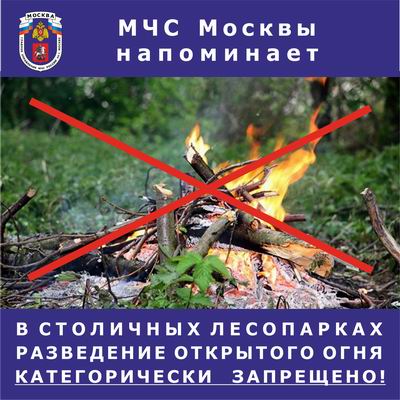 Пожарная безопасность в лесопарковых зонах